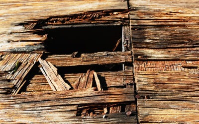 How To Handle Rotted Wood Decking During Your Roof Replacement