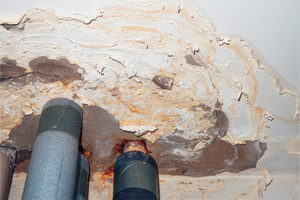 Roof Repair For Dry Rot