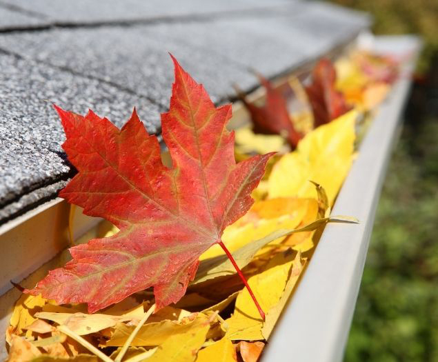 Gutters Clogged With Leaves