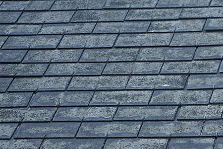 An educational module image illustrating advanced asphalt granule loss across several rows of architectural shingles, showing patchy discoloration where the protective coating has worn thin.