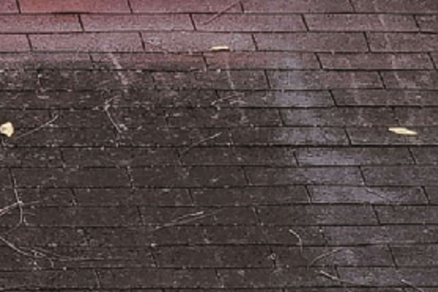 An educational slider graphic highlighting severe surface discoloration, showing dark, patchy structural stains running vertically across rows of red-brown asphalt roof shingles.