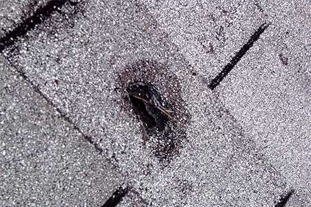 An educational module image displaying a severe hail storm impact on an asphalt shingle, showcasing a deep circular bruise and puncture that exposes the underlying fiberglass mat.
