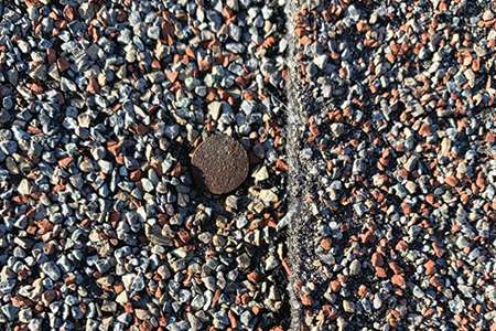 A close-up educational graphic showing a rusted roofing nail head backing out through the surface granules of an asphalt shingle, causing a classic nail pop failure.