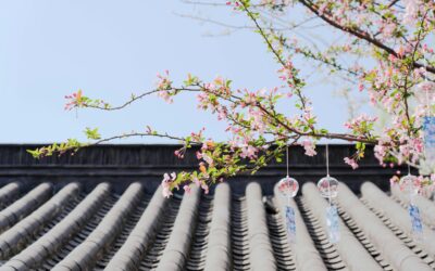 Spring Roof Inspection Checklist for Greater Cincinnati Homeowners