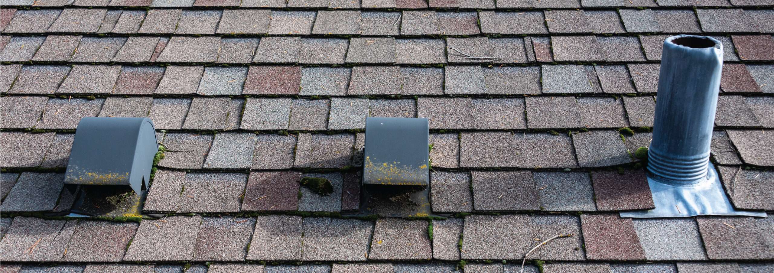 Close-up view of aging roof shingles featuring two box vents with moss growth and a weathered plumbing pipe boot flashing system in Cincinnati.